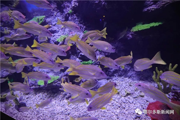 1549086174677056529.jpg 1.jpg