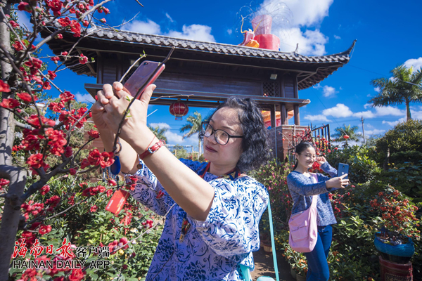 1549099591084048649.jpg a2_副本.jpg