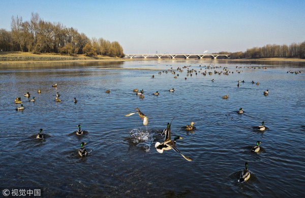 1550050038643080358.jpg 286ed488c82d1dcdd00915.jpg