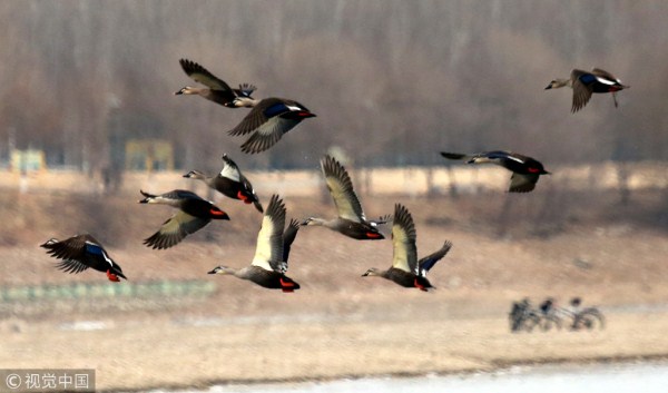 1550050062651081029.jpg 286ed488c82d1dcdd00e16.jpg