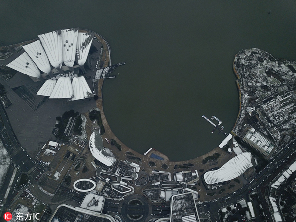 1550111299127023275.jpg 002.jpg