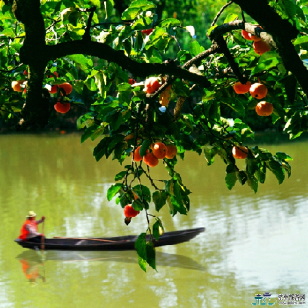 1511421384544018999.jpg update1.jpg