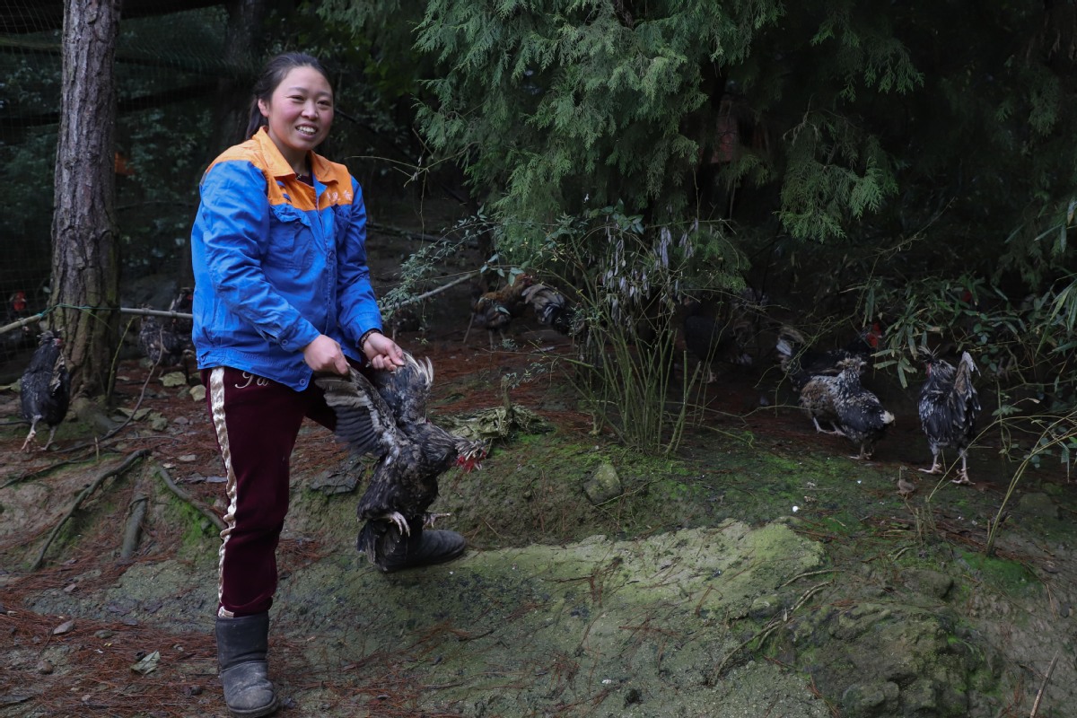 1550796544112031184.jpeg 1550796544112031184.jpeg