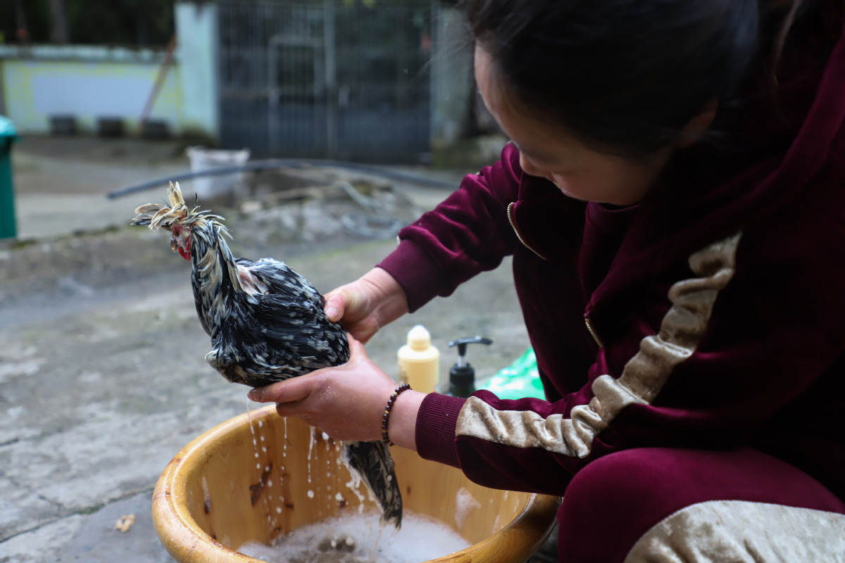 1550796563934043366.jpeg 1550796563934043366.jpeg