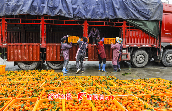 1551056877469095247.png 河池.png