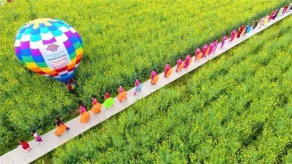 1551058780871028924.jpg qp1_副本.jpg