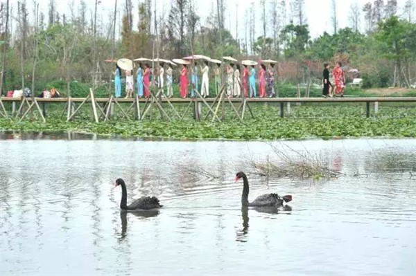 1551058809414071252.jpg qp2_副本.jpg