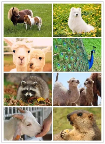 1551058828695095079.jpg qp3_副本.jpg