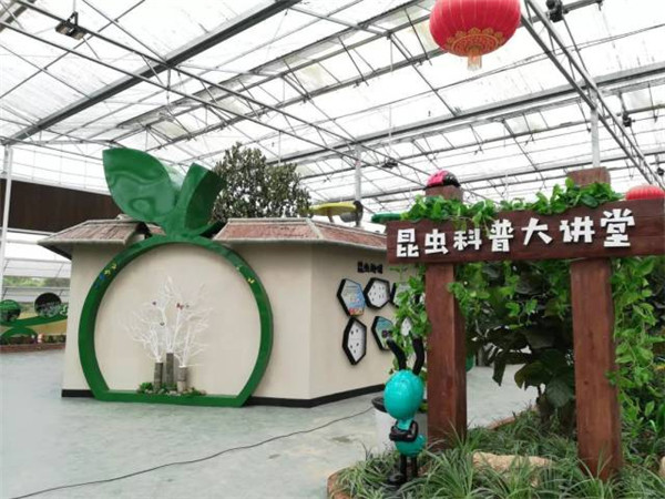 1551058849264024244.jpg qp5_副本.jpg