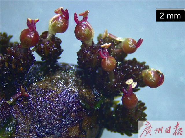 1551347001745053748.jpg 2.jpg