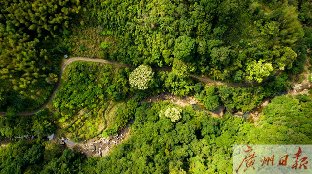 1551347022073071528.jpg 3.jpg