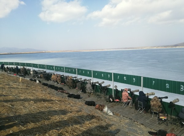 1551405638459071740.jpg 286ed488c82d1de1edd15b.jpg