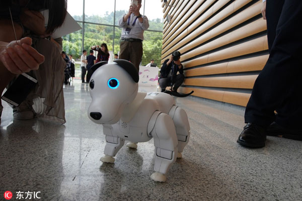 1551751257189023720.jpg 机器狗.jpg