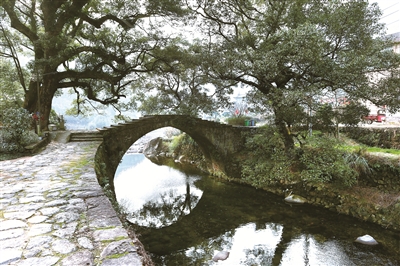 1551774960508031749.jpg 101802062076.jpg