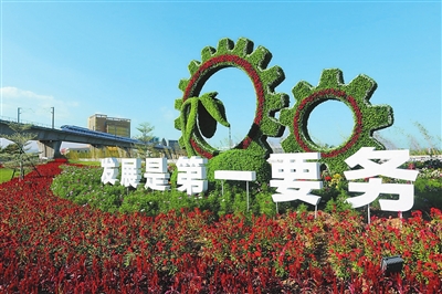 1552381555213056103.jpg xjj1.jpg