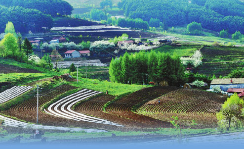 1552440513568055542.jpg 00221917e13e1df294be46.jpg