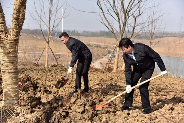 1552530191293054483.jpg 286ed488c83f1df3f36801.jpg