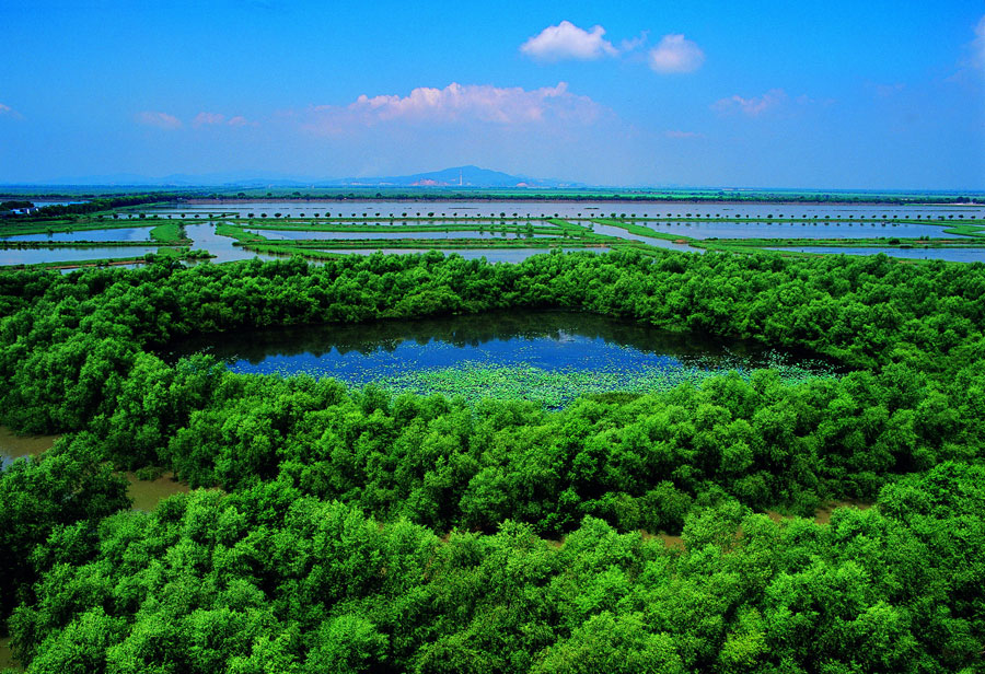 1552629162196093998.jpg 5c8a1794a3106c65ffff355d.jpg