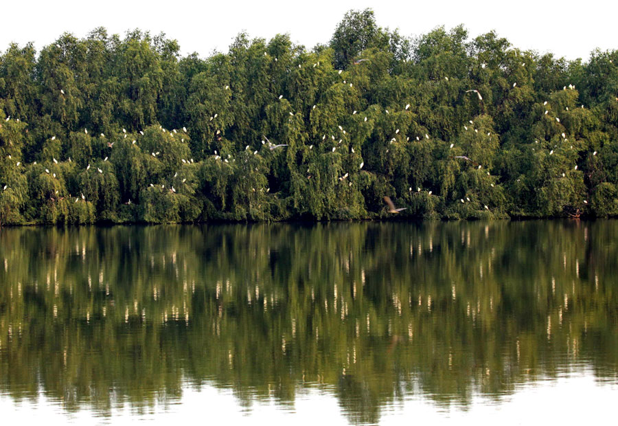 1552629178163091669.jpg 5c8a1794a3106c65ffff355f.jpg