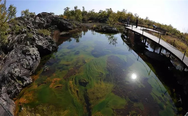 1552615850034007098.jpg 2.jpg