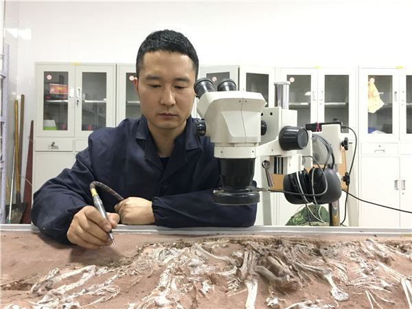 1552889502264031720.jpeg 5c8ee6f3a3106c65ffffa343.jpeg