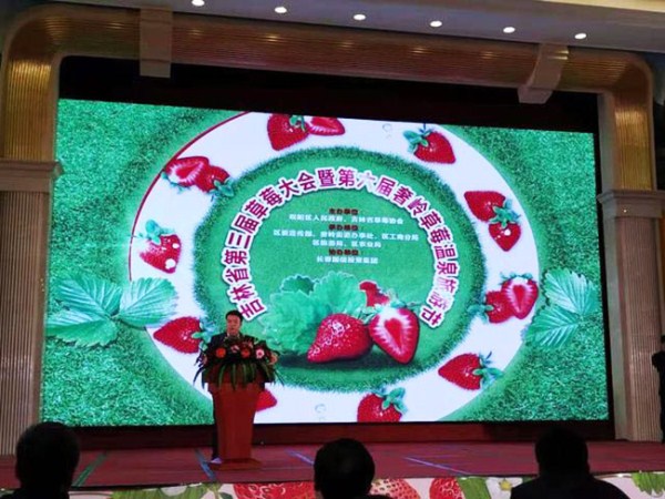 1552959065959012185.jpg 286ed488c82d1df9b00526.jpg