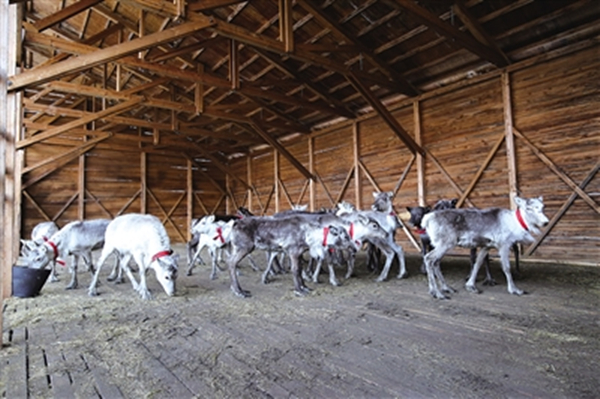 1553058998315066365.jpg 1.jpg