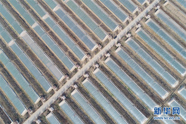 1553075743385018818.jpg 1124256116_15530376153661n_副本.jpg