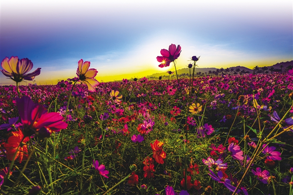 1548828304651057015.jpg c1_副本.jpg