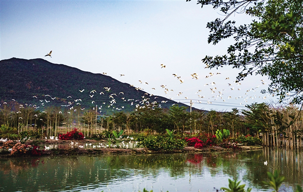 1548828343622092104.jpg c4_副本.jpg