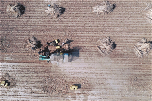 1553219948515002539.jpg 1553076141073025411.jpg