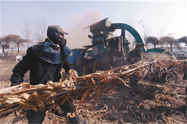 1553220055304005619.jpg 1553076174632019003.jpg