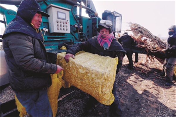 1553220111341078302.jpg 1553076191735048761.jpg