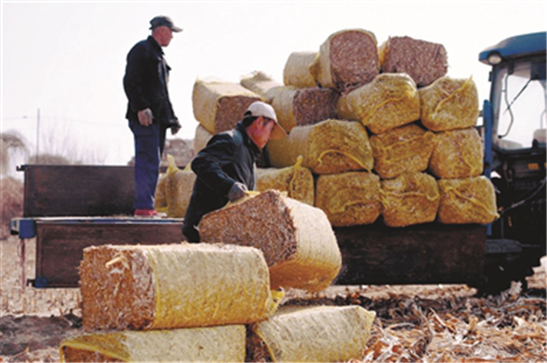 1553220132133053007.jpg 1553076208652033220.jpg