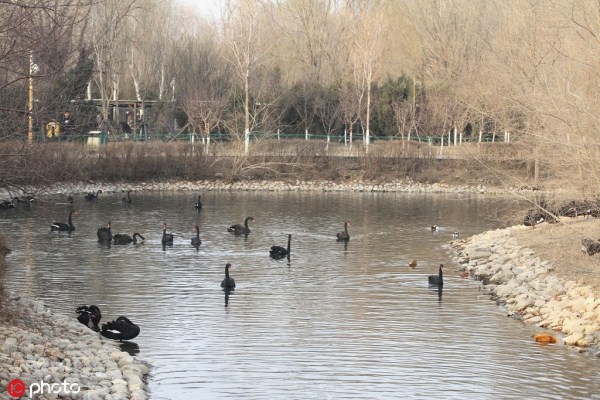 1553477277435022631.jpg 286ed488c82d1dfed32459.jpg