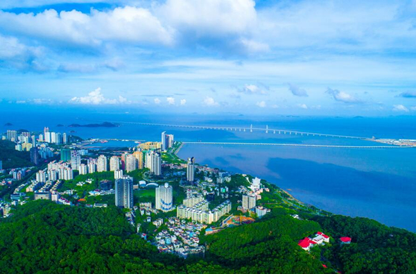 1553477554868041529.jpg 1_副本.jpg