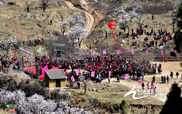 1553592062257083620.jpg d8cb8a3b28b81dfe76c901_副本.jpg