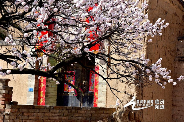 1553592074190034804.jpg d8cb8a3b28b81dfe77ba07_副本.jpg