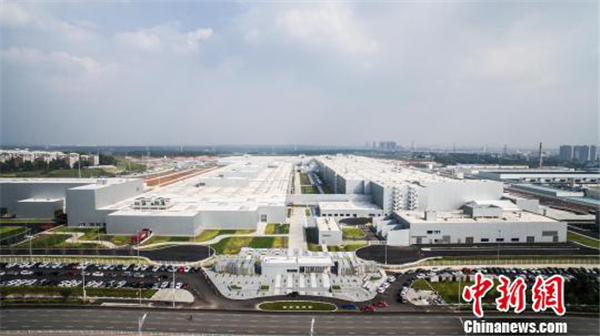 1553739178227032915.jpg 1553679099035014625.jpg