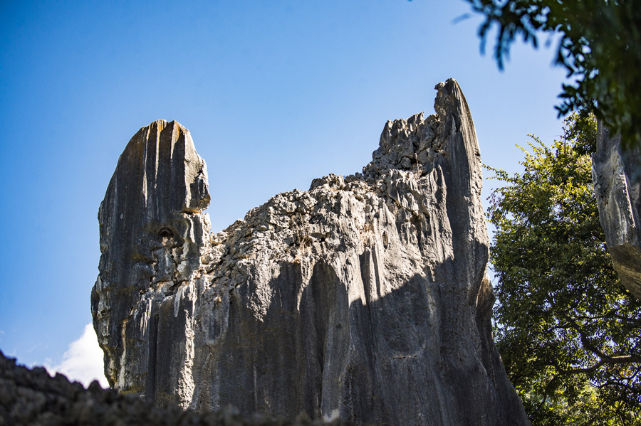 1551165476884064818.jpg 5c70b9f0a3106c65fffb5a5f.jpg