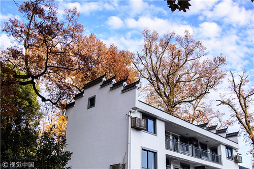 1544582834557072908.jpg 2147_副本.jpg