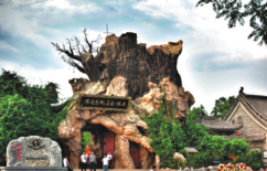 1543907526190003649.jpg 5c05c5eda310eff369094d83.jpg