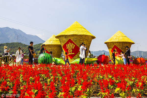 1539238492874019160.jpg 5bbbf9f0a310eff369000cad_副本.jpg