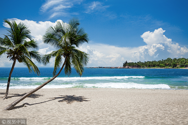 1547114789139067278.jpg t1.jpg