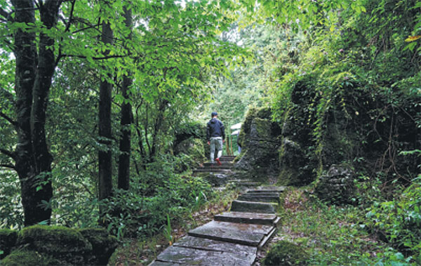 1534210543824083856.jpg 5b6e3e22a310add1c69644fc.jpg