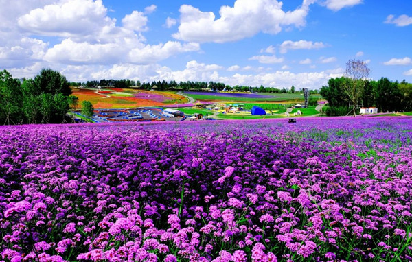 1533020574820077104.jpg 农业_副本.jpg