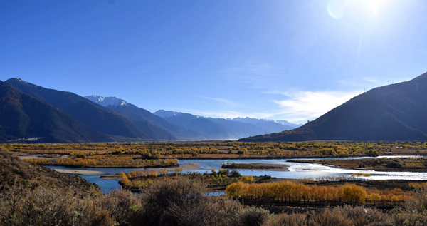 1536563877705031563.jpg 5b95dde8a31033b41c027e35_副本.jpg