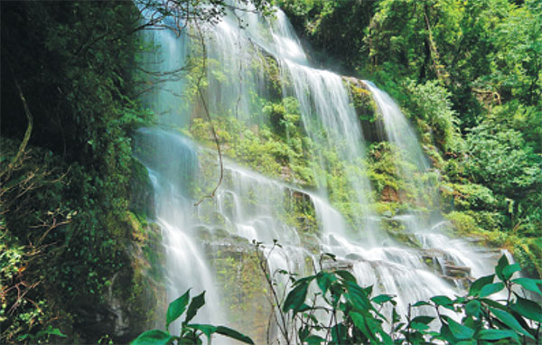 1534210495211085171.jpg 5b6e3e22a310add1c69644f8.jpg