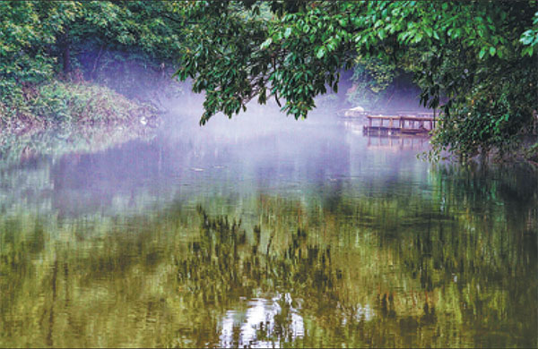 1534210520010030739.jpg 5b6e3e22a310add1c69644fa.jpg