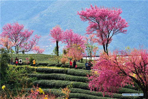 1544582804943061006.jpg 2145_副本.jpg